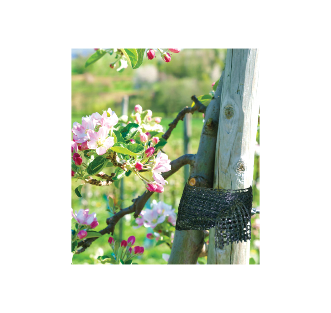 Garden Centre everything for the garden