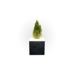 Illuminated plant pots